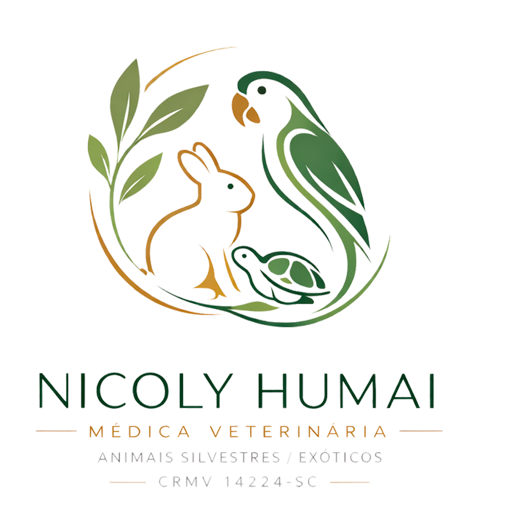 Logo Dra. Nicoly Humai
